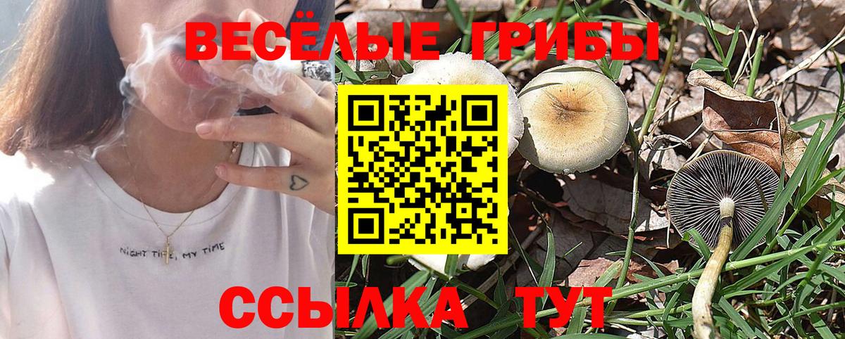 Галлюциногенные грибы мухоморы Каменск-Уральский