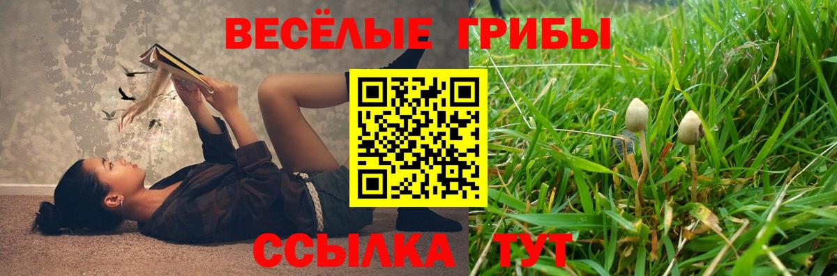 Каменск-Уральский  как найти закладки  Вход с VPN  Псилоцибиновые грибы мухоморы 